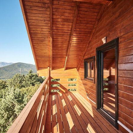 Pasithea Mountain Chalet Φενεός Εξωτερικό φωτογραφία